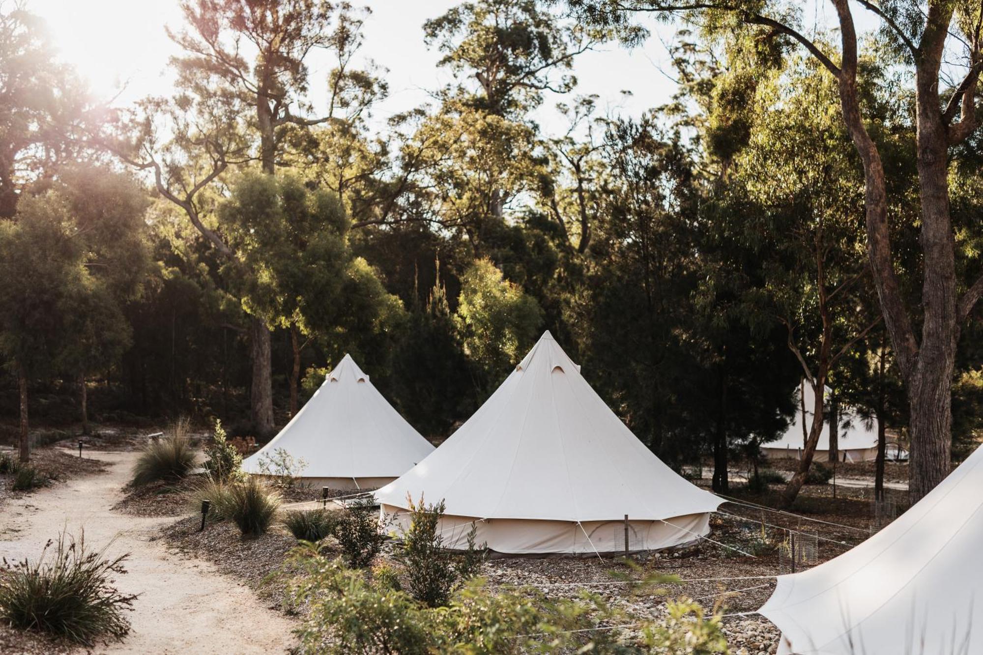Bay Of Fires Bush Retreat Bed & Breakfast Binalong Bay Dış mekan fotoğraf